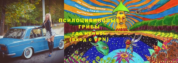 гашик Красноперекопск