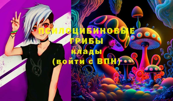 синтетический гашиш Краснослободск